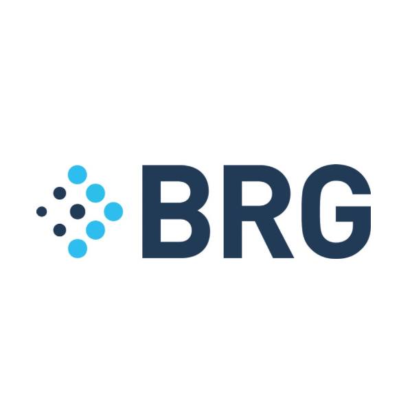 Berkeley Research Group